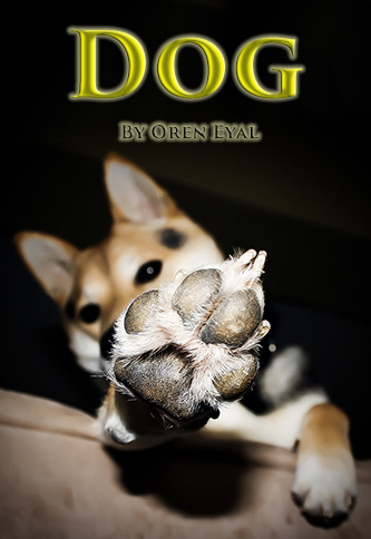 Dog short story cover